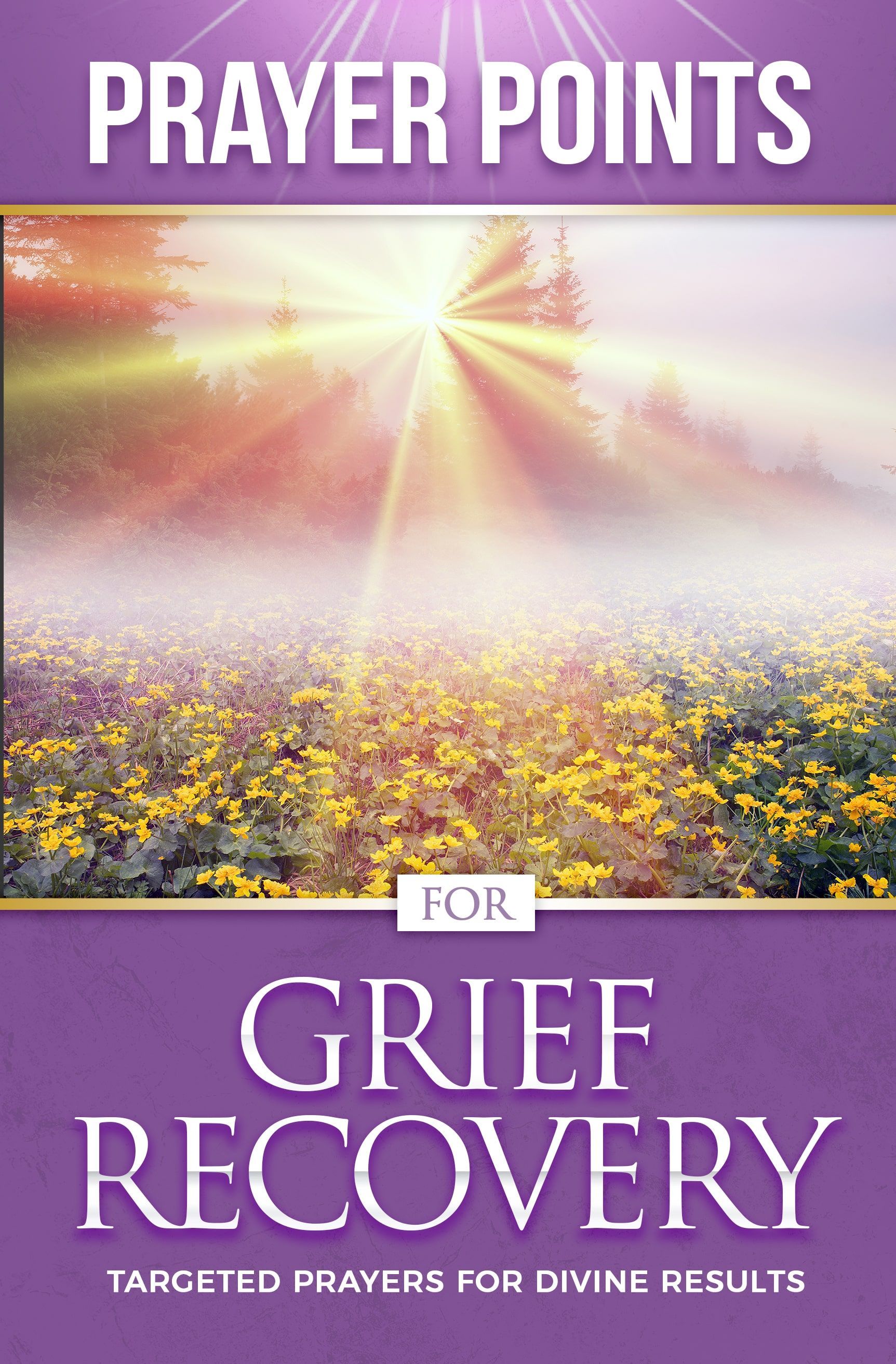 Prayer Points for  Grief Recovery