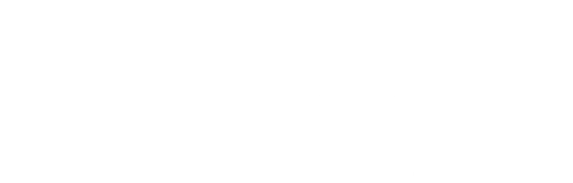 A blank white image.