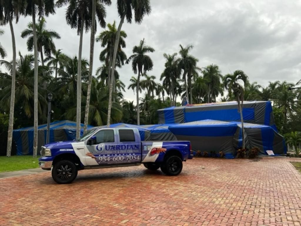 House Covered With Tent for Termites