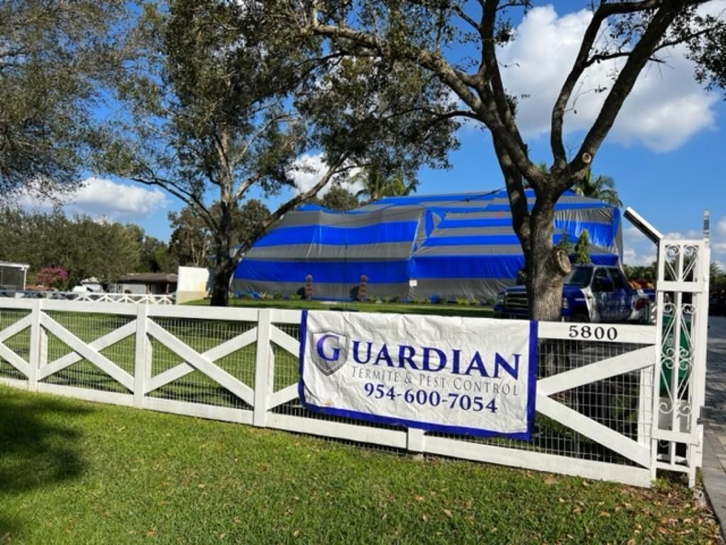 House Tent Fumigation