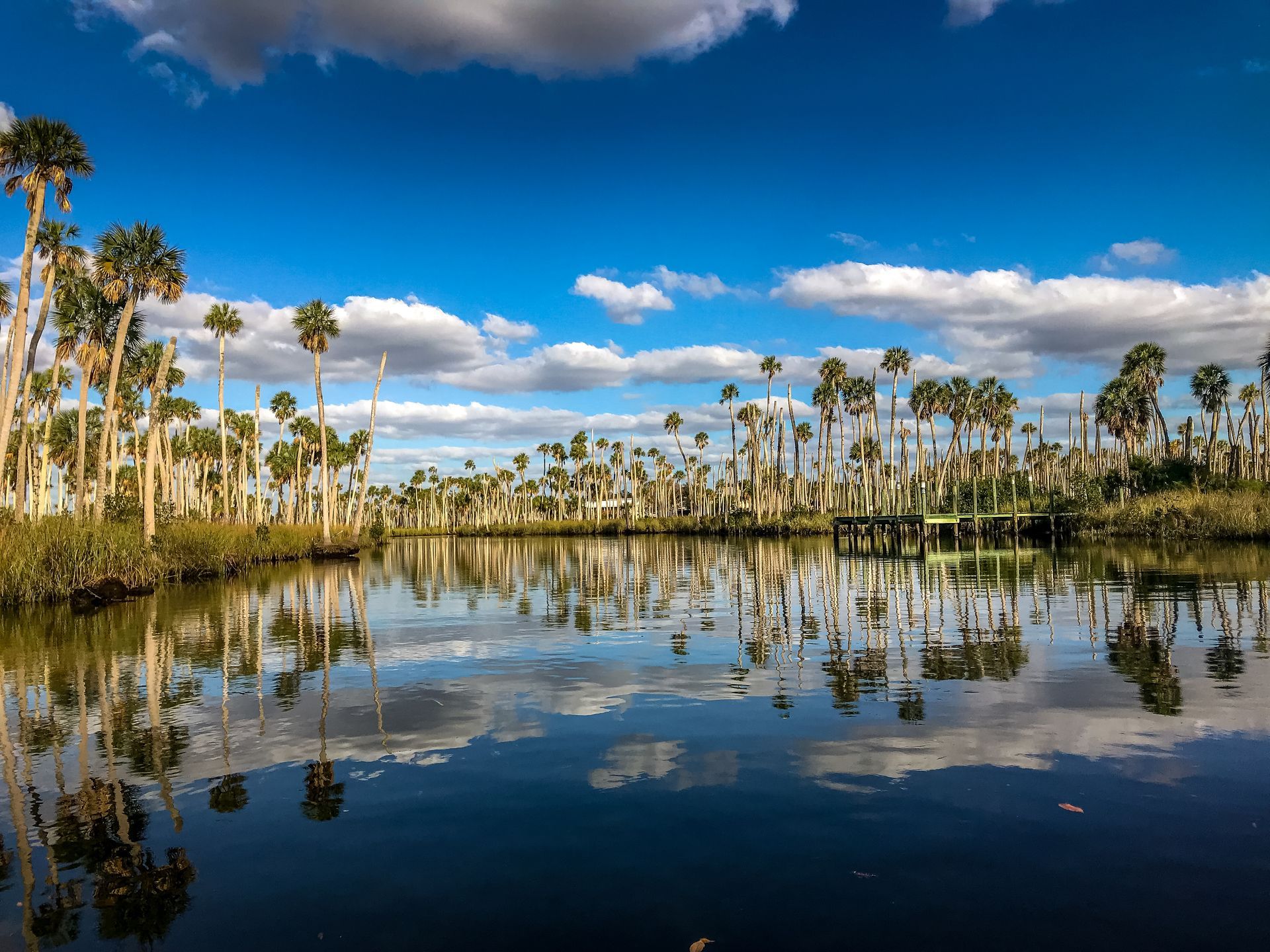 A young girl is sitting at a table with an older woman standing behind her.