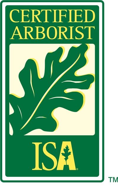 A certified arborist logo with an oak leaf on it