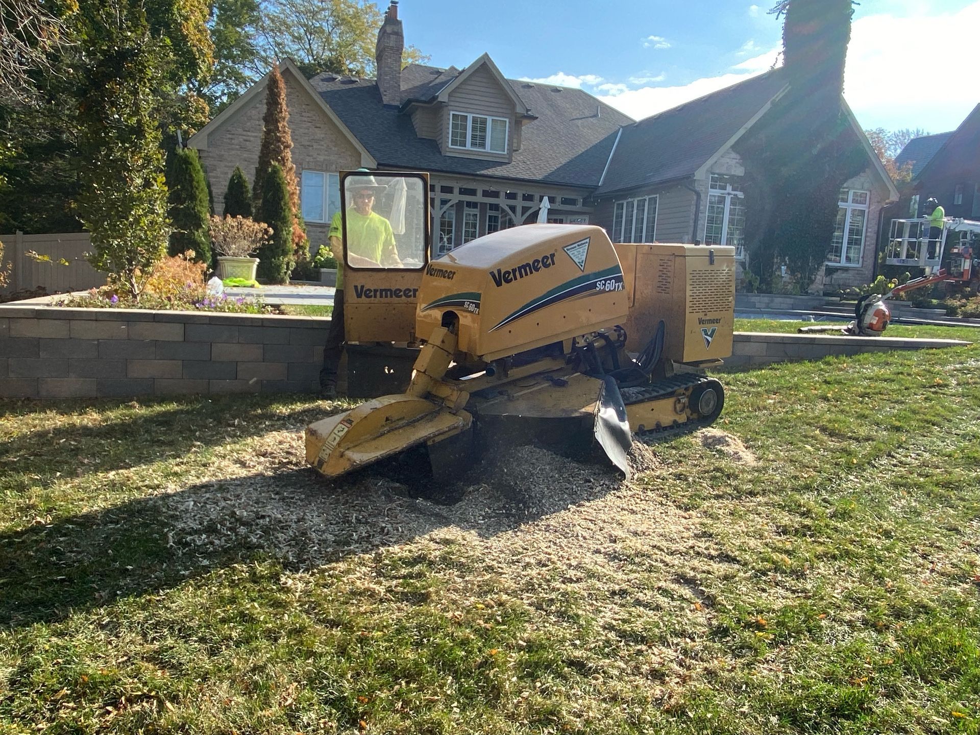 A stump grinder grinds a tree stump in a yard, with a worker inside the machine.