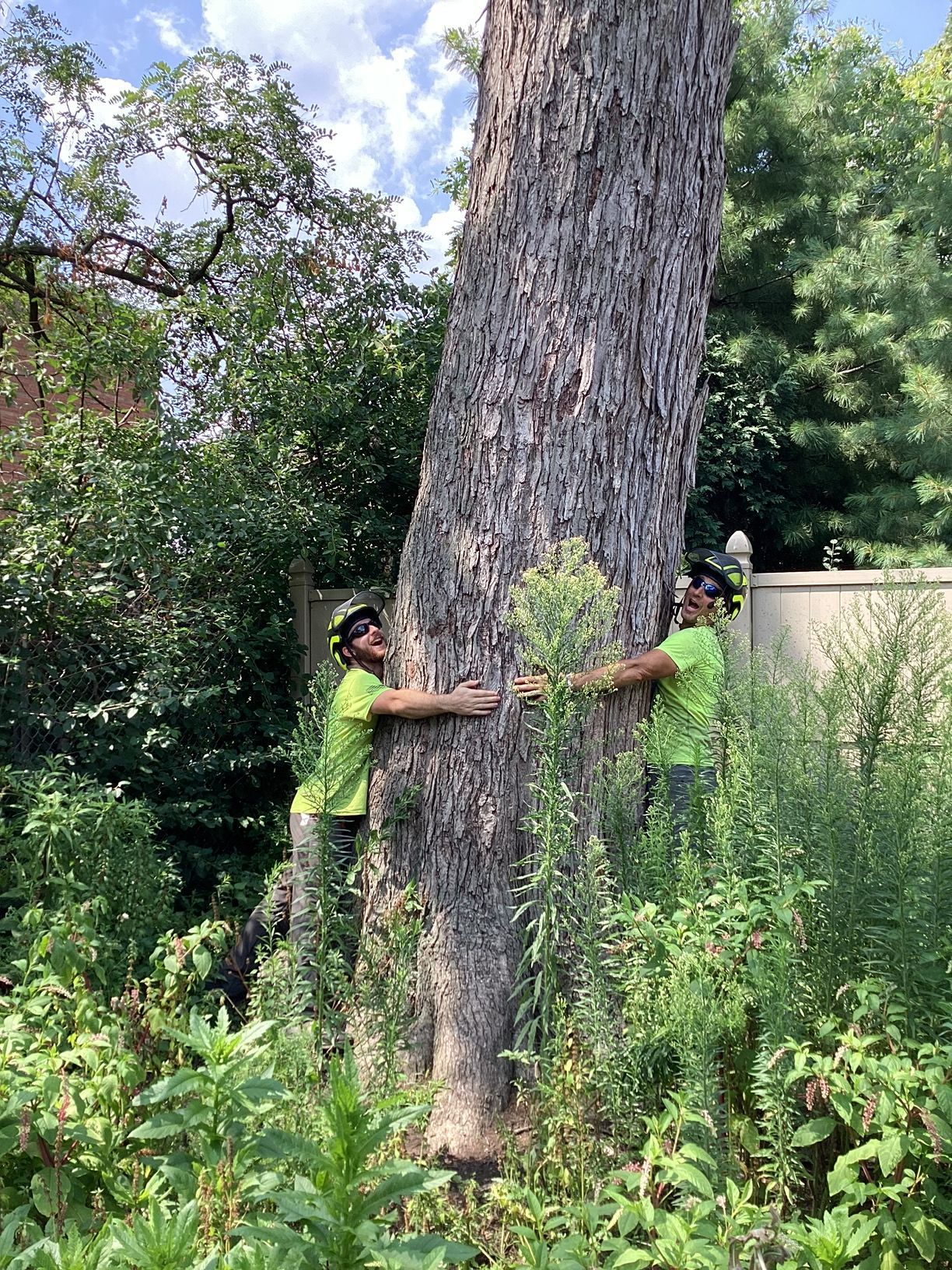 Two men are hugging a large tree in the woods.