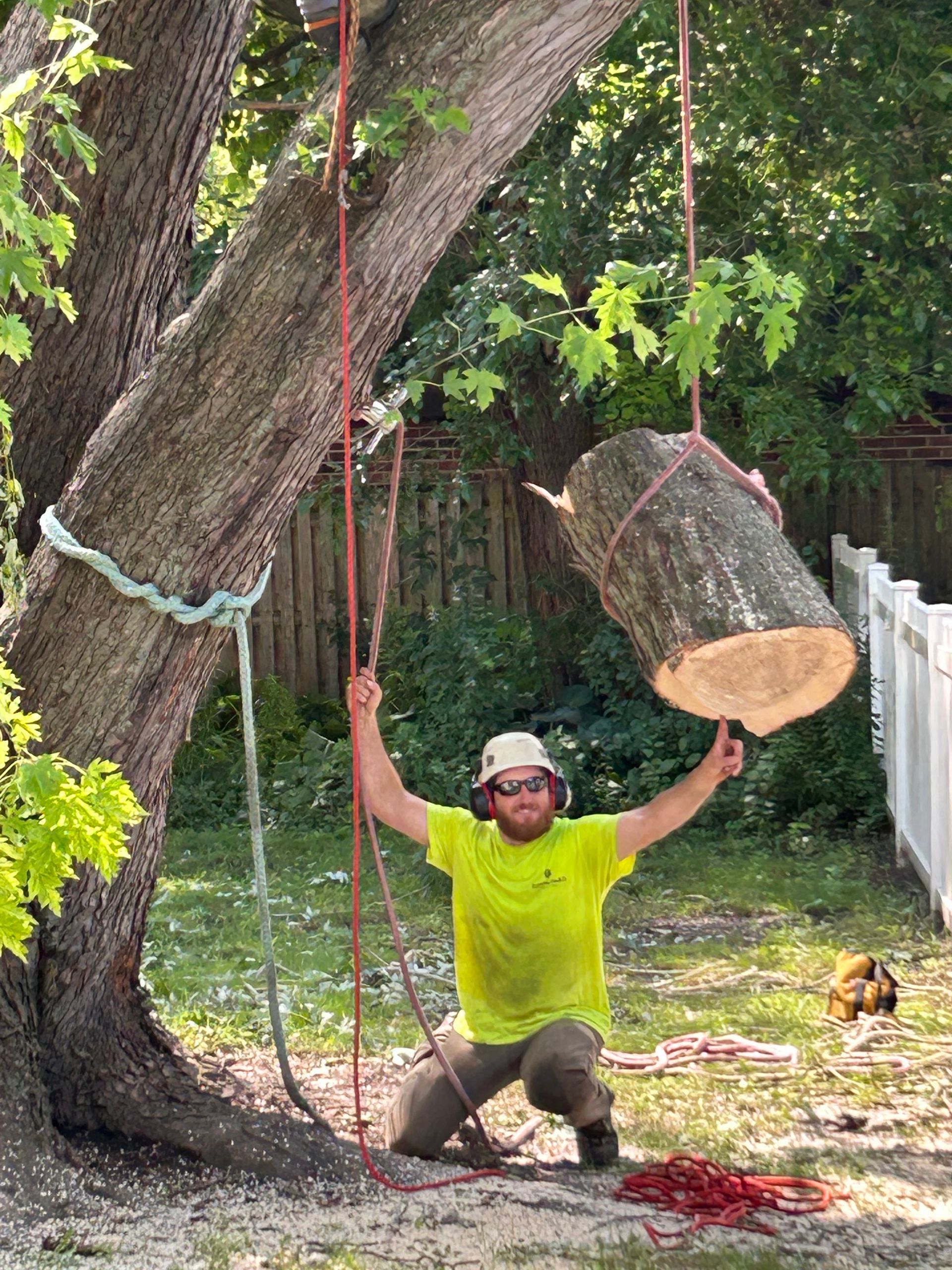 Arborist kneels, arms raised, holding up a hanging log. Tree trunk, ropes, green grass, and sunny outdoor setting.