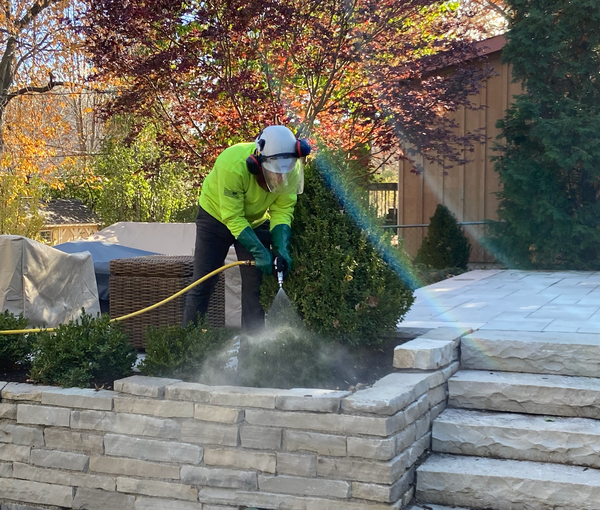 A person in high-visibility gear and protective headwear uses a hose to spray a garden bush near a stone wall.