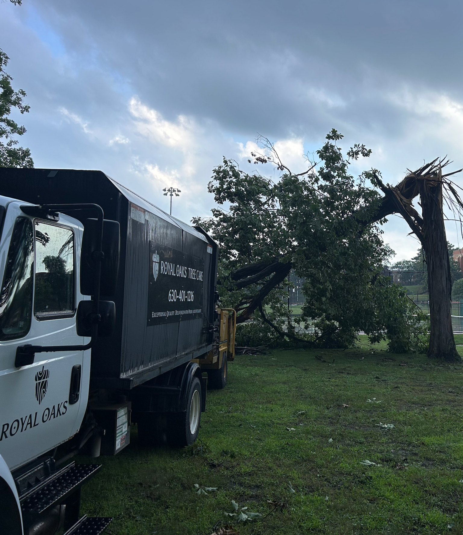 A large tree trunk rests on top of a garage, causing roof damage.