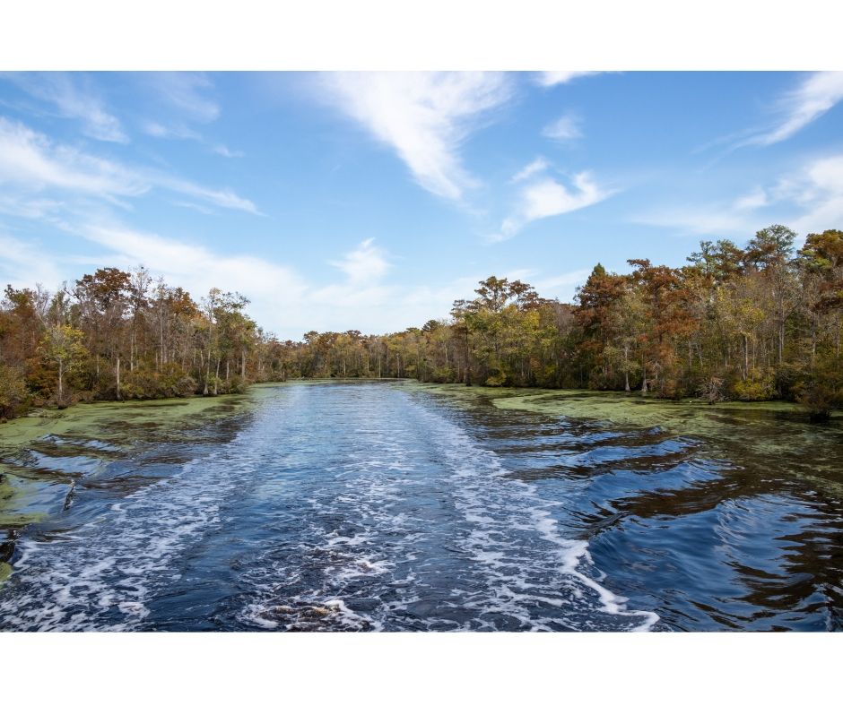 dismal swamp canal in Chesapeake, Virginia