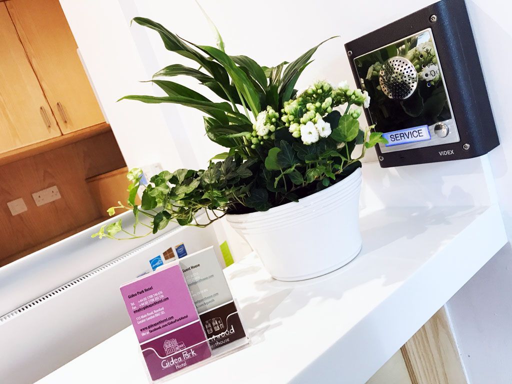 A potted plant is sitting on a counter next to a sign.