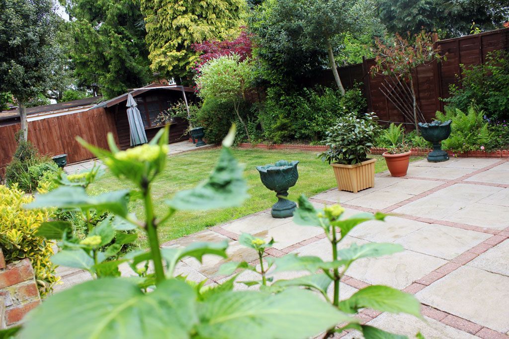 A garden with a sunflower in the foreground and potted plants in the background