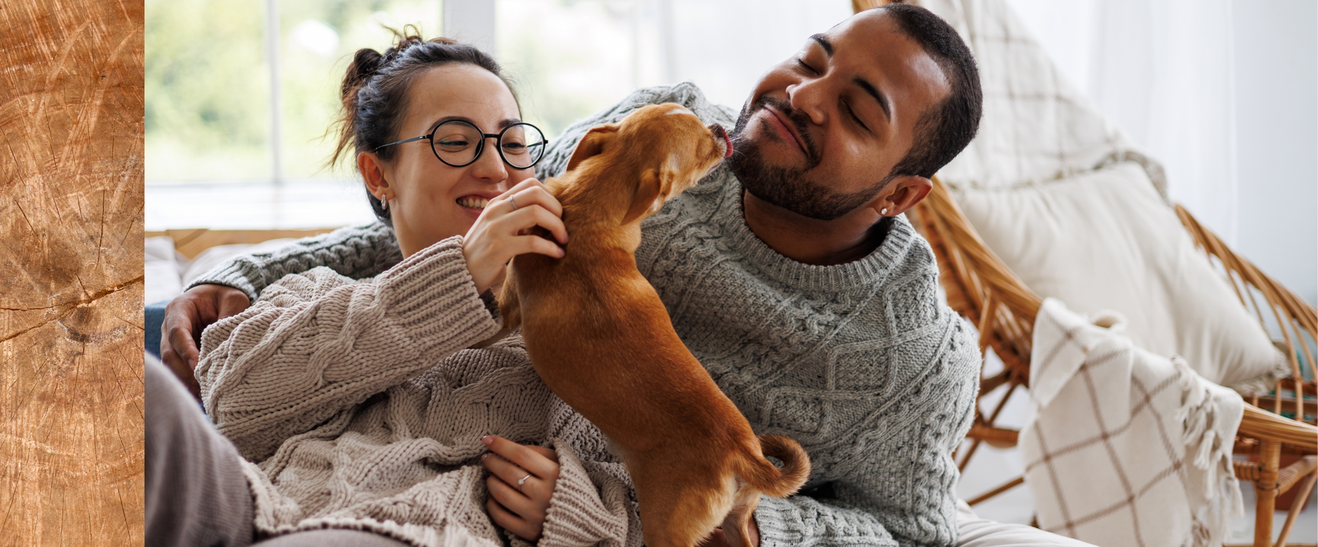 A man and a woman are sitting on a couch petting a dog.