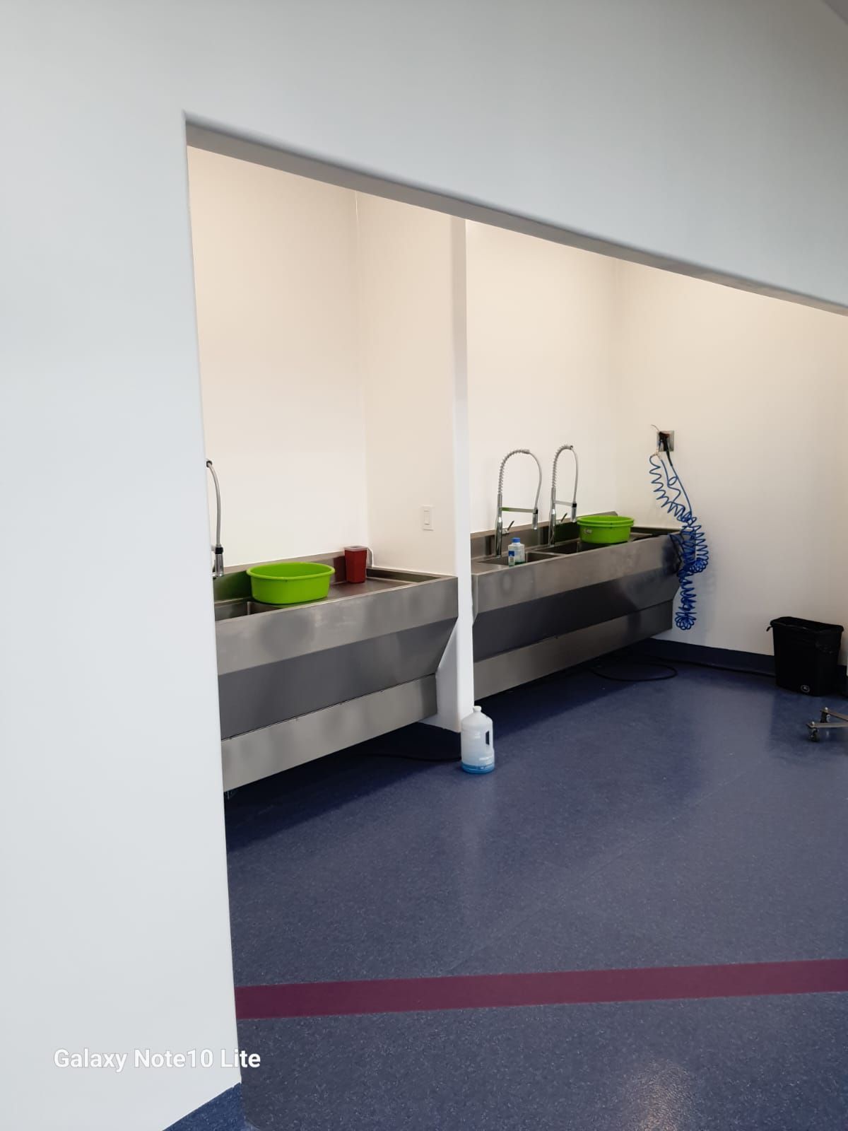 Una habitación con dos lavabos y suelo azul.