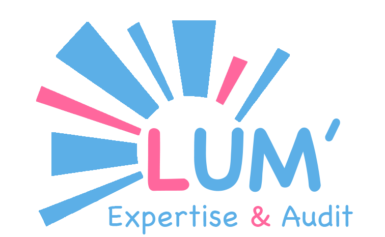 lum-expertise-audit