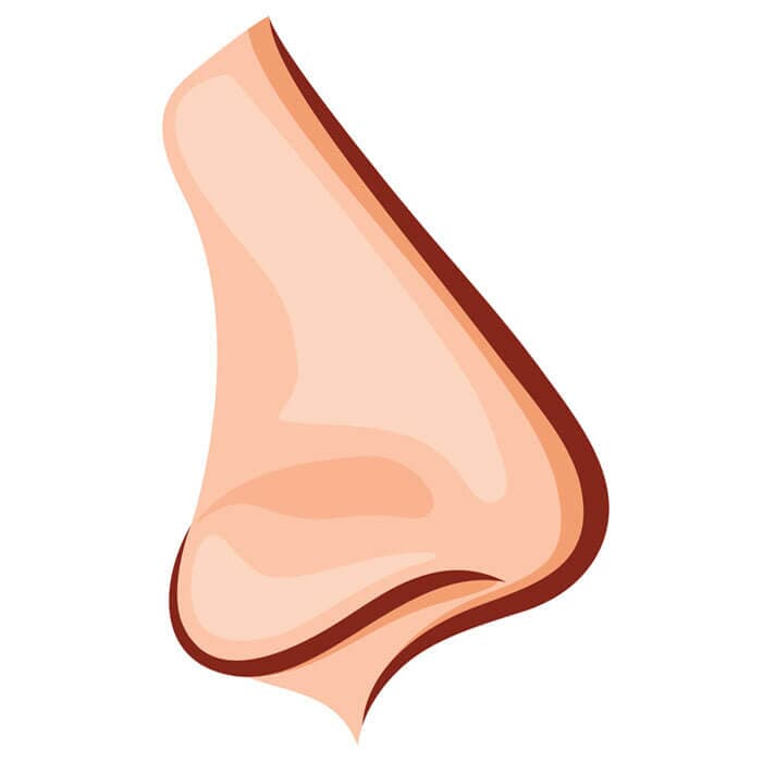 Emisiones otacústicas