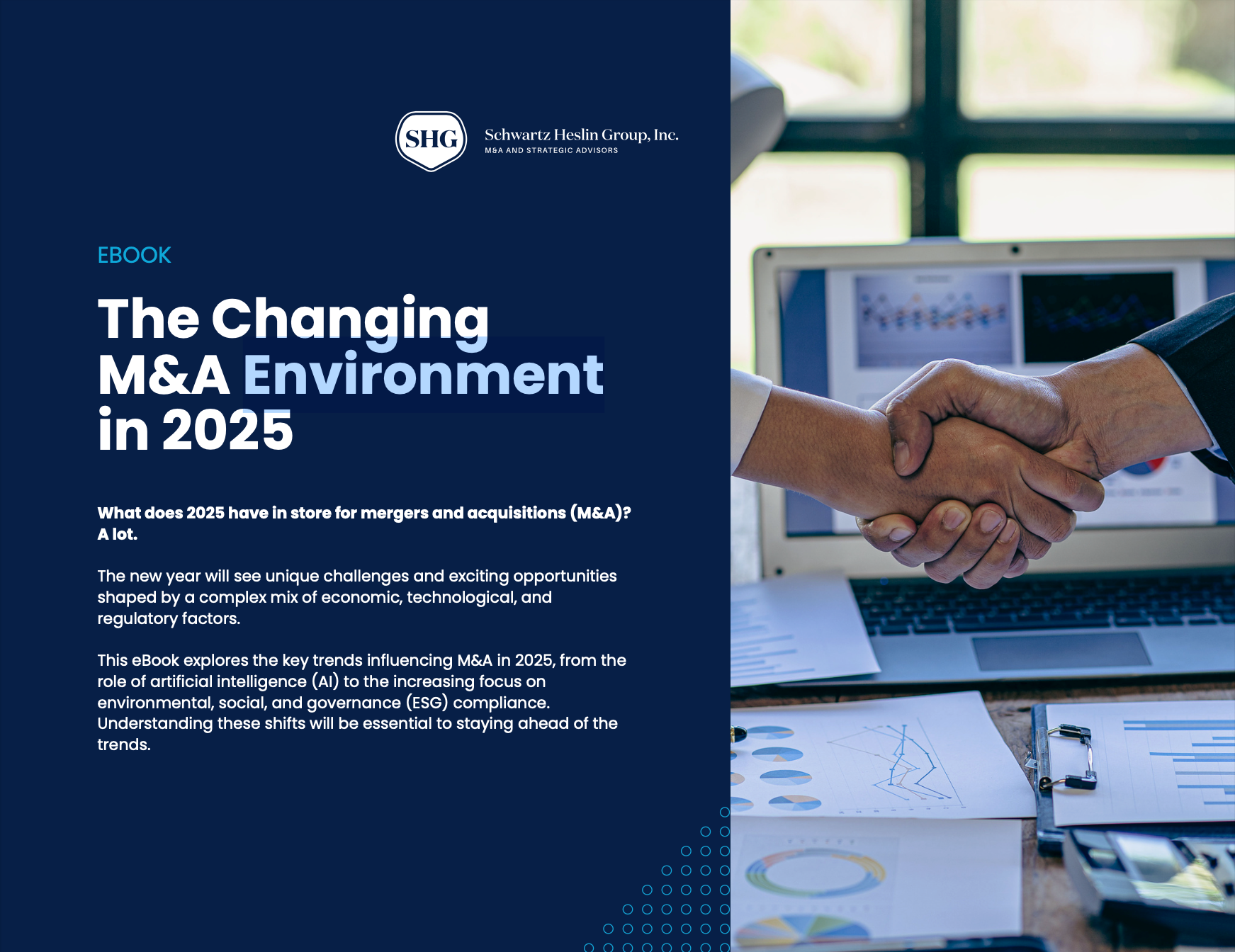 The Changing M&A Environment in 2025