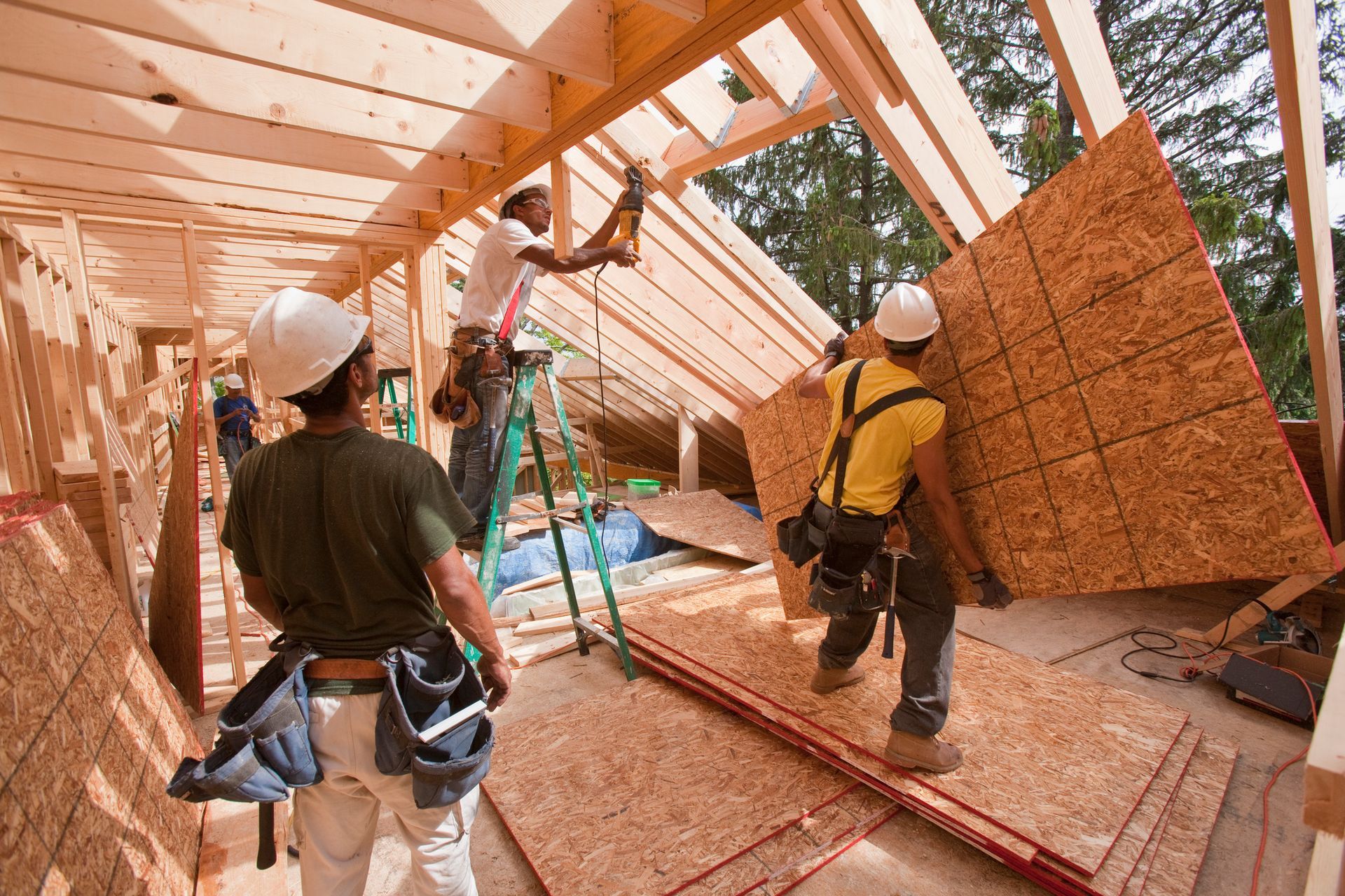 Construction workers building a wooden frame, fastening panels; bright sunlight, outdoor setting.