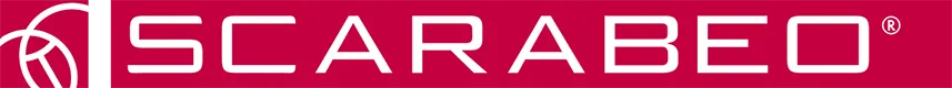 Logo Scarabeo