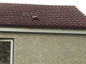 Guttering services