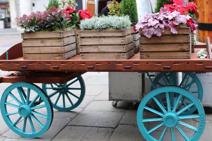 A wooden cart with blue wheels and boxes of flowers on it