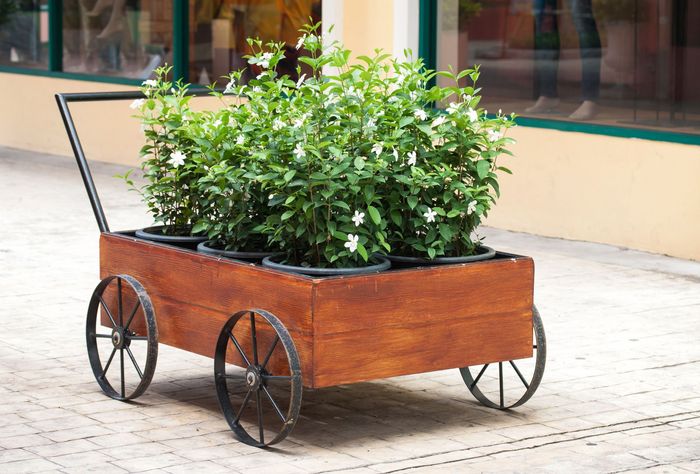 A wooden cart filled with potted plants on a sidewalk.