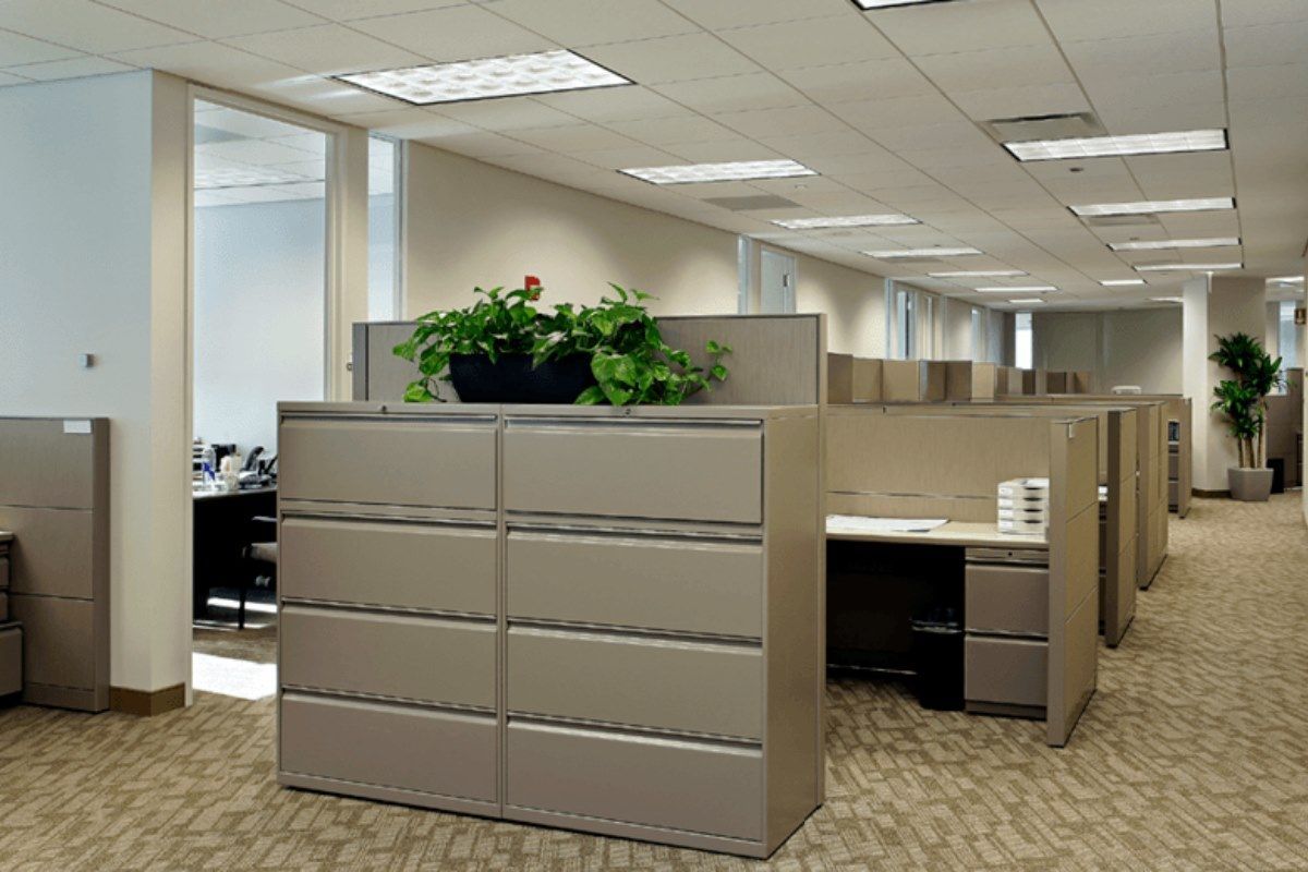 a clean carpet on a commercial office