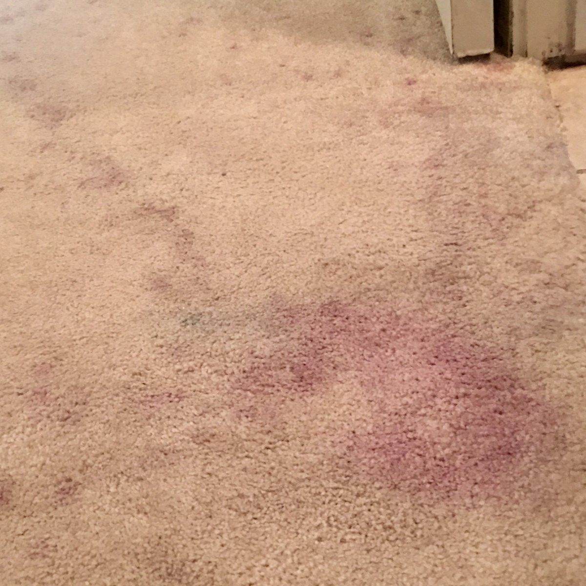 visible stains on a brown carpet