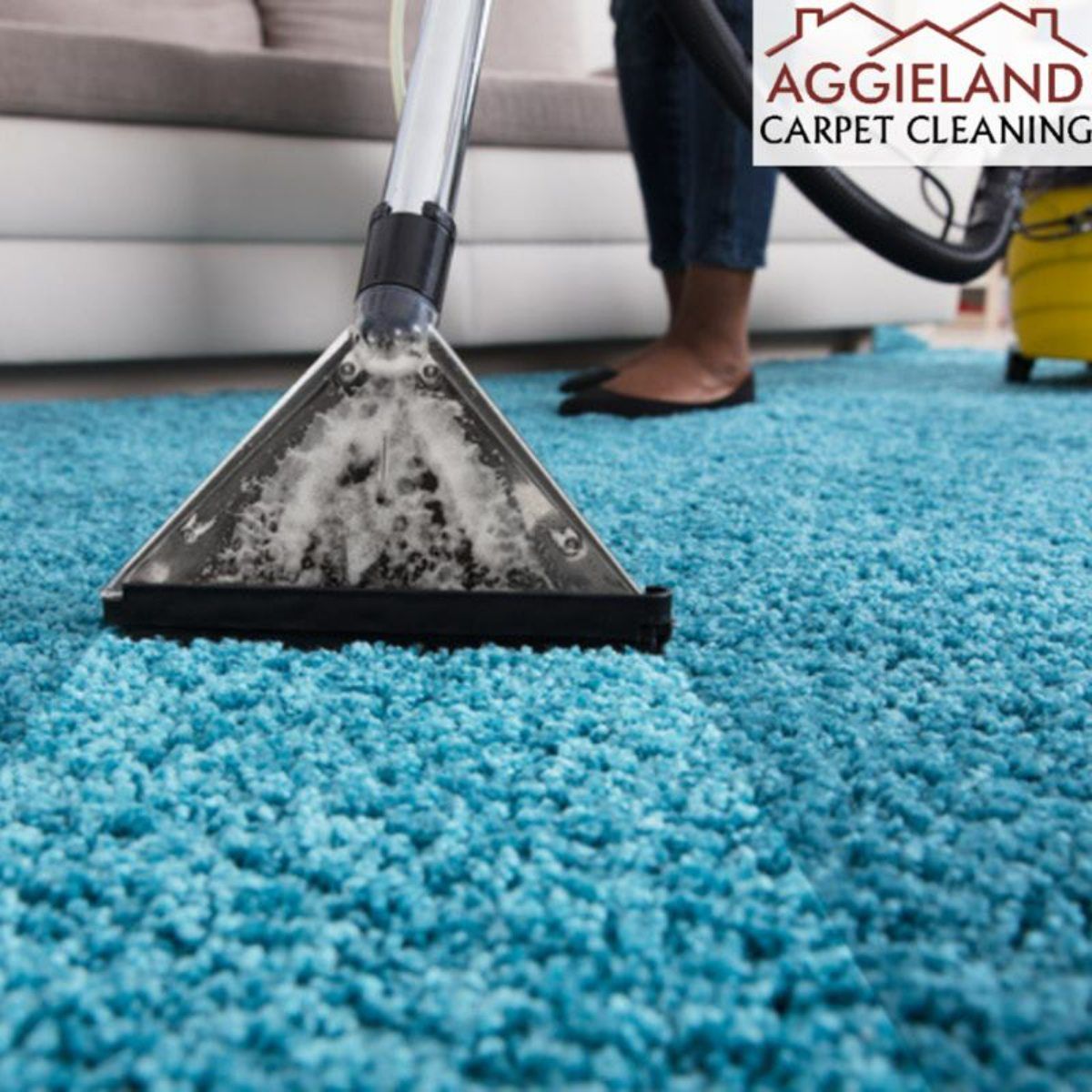 a person is cleaning a blue carpet with a vacuum cleaner from aggieland carpet cleaning