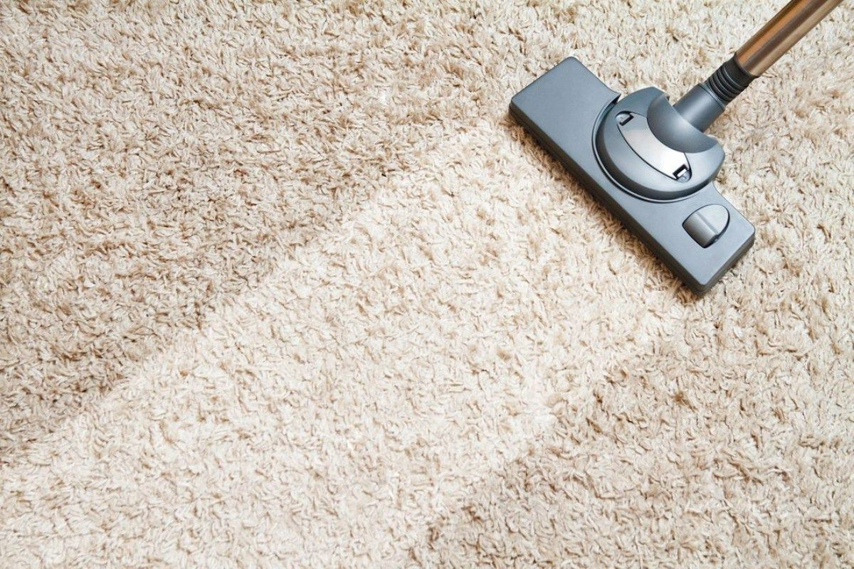 a vacuum cleaner is being used to clean a carpet .