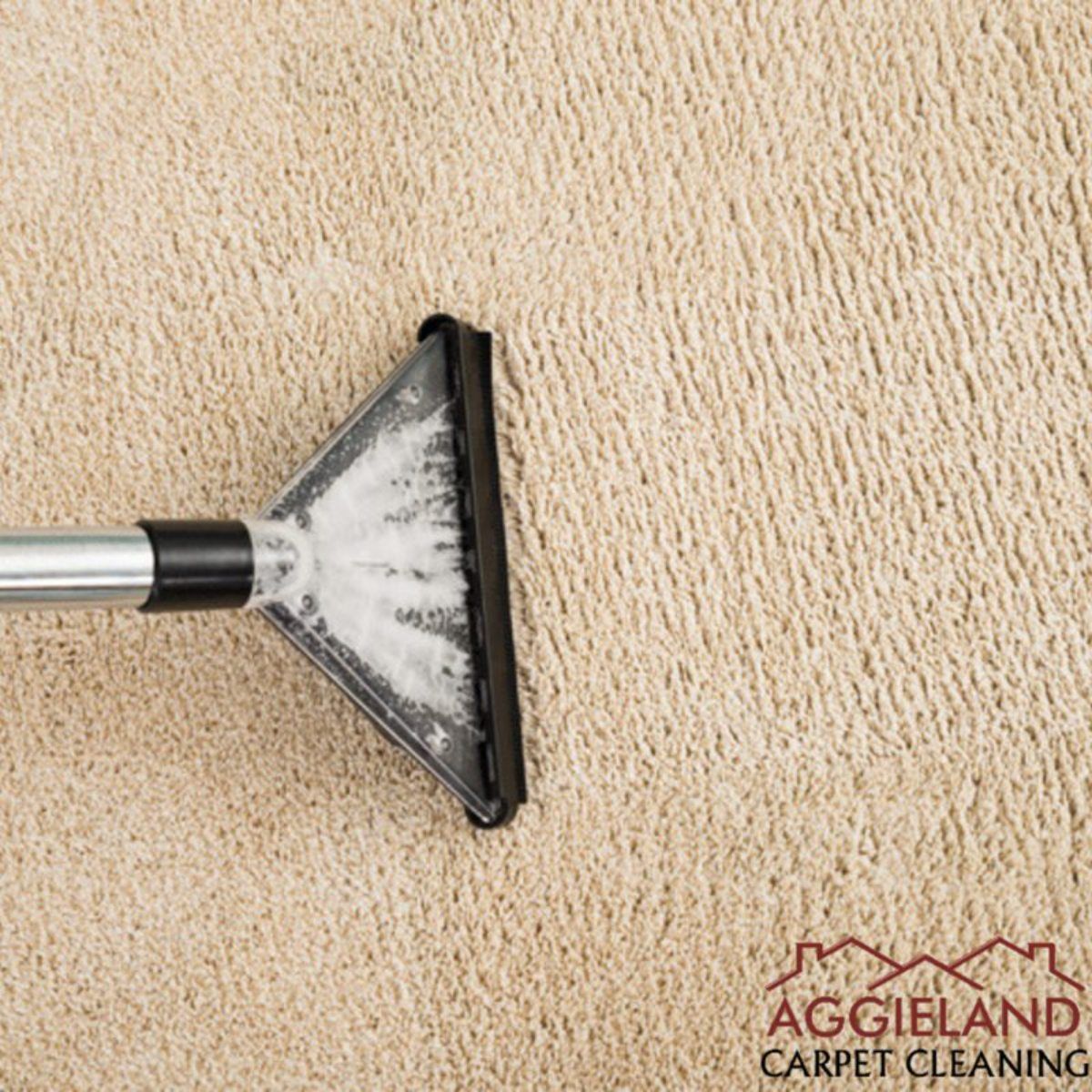 a vacuum cleaner is being used to clean a carpet .