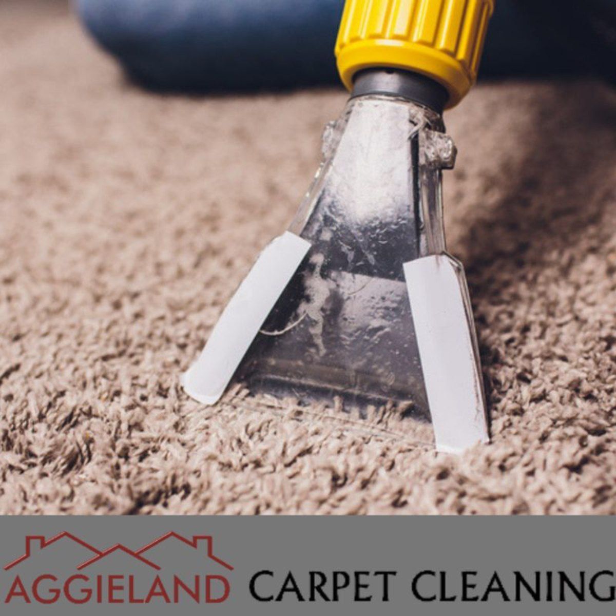 a person is cleaning a carpet with an aggieland carpet cleaning logo
