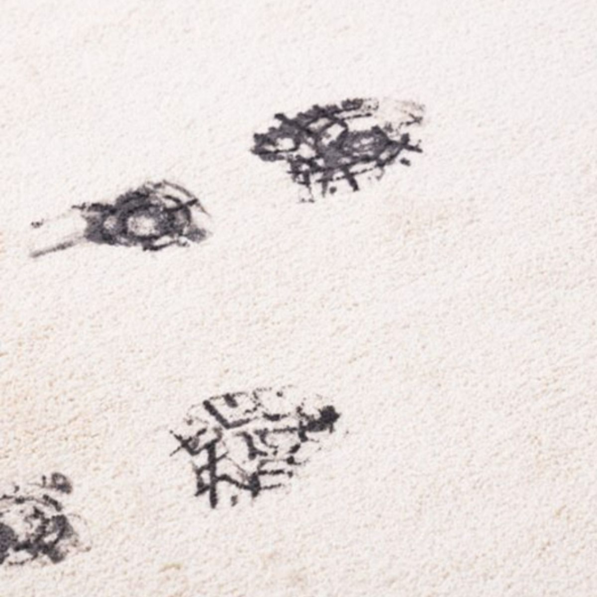 footmark of a shoes in a white carpet