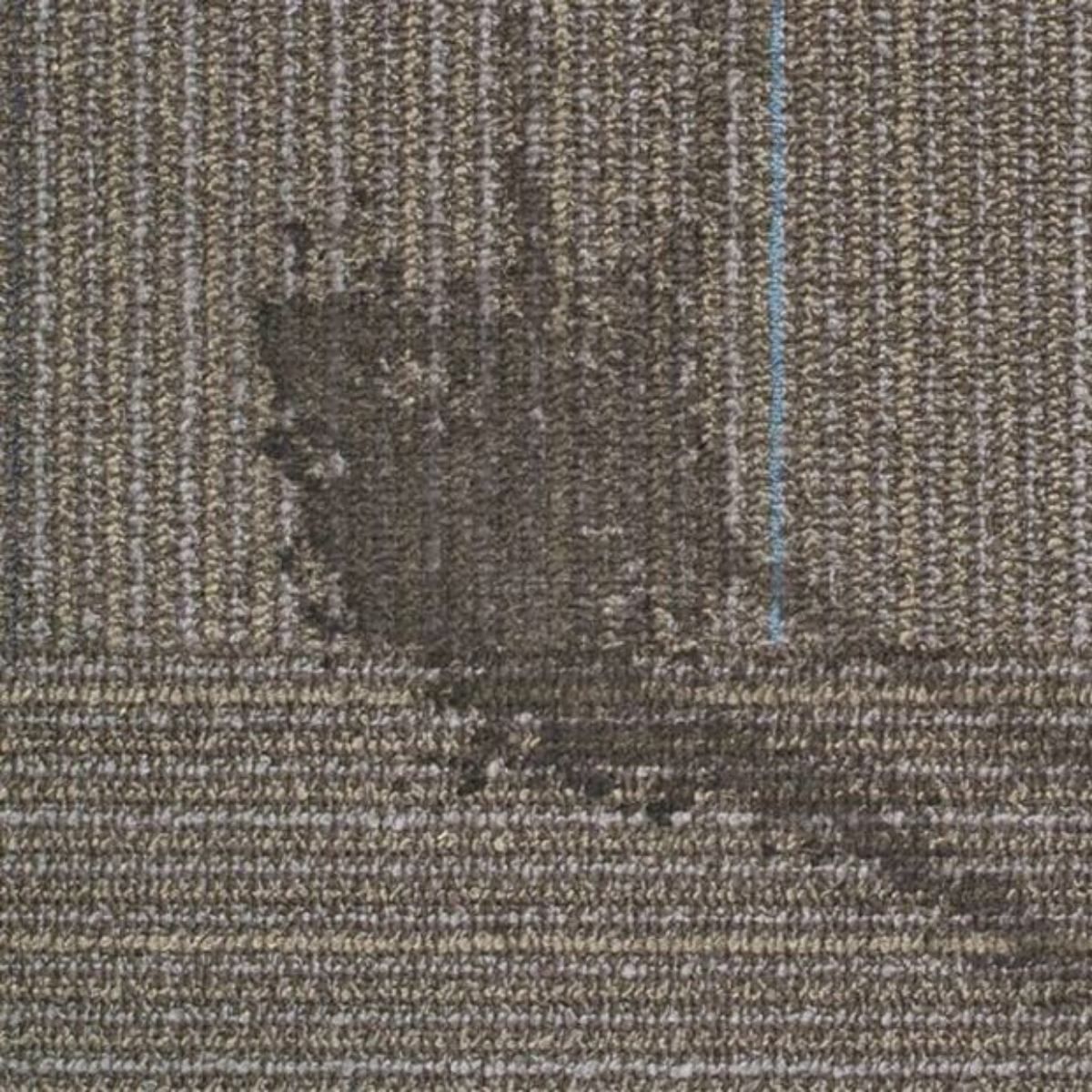 visible stain in carpet