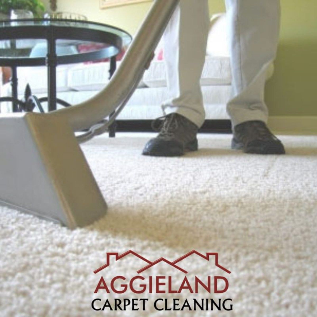 a person is cleaning a carpet with aggieland carpet cleaning written on the bottom