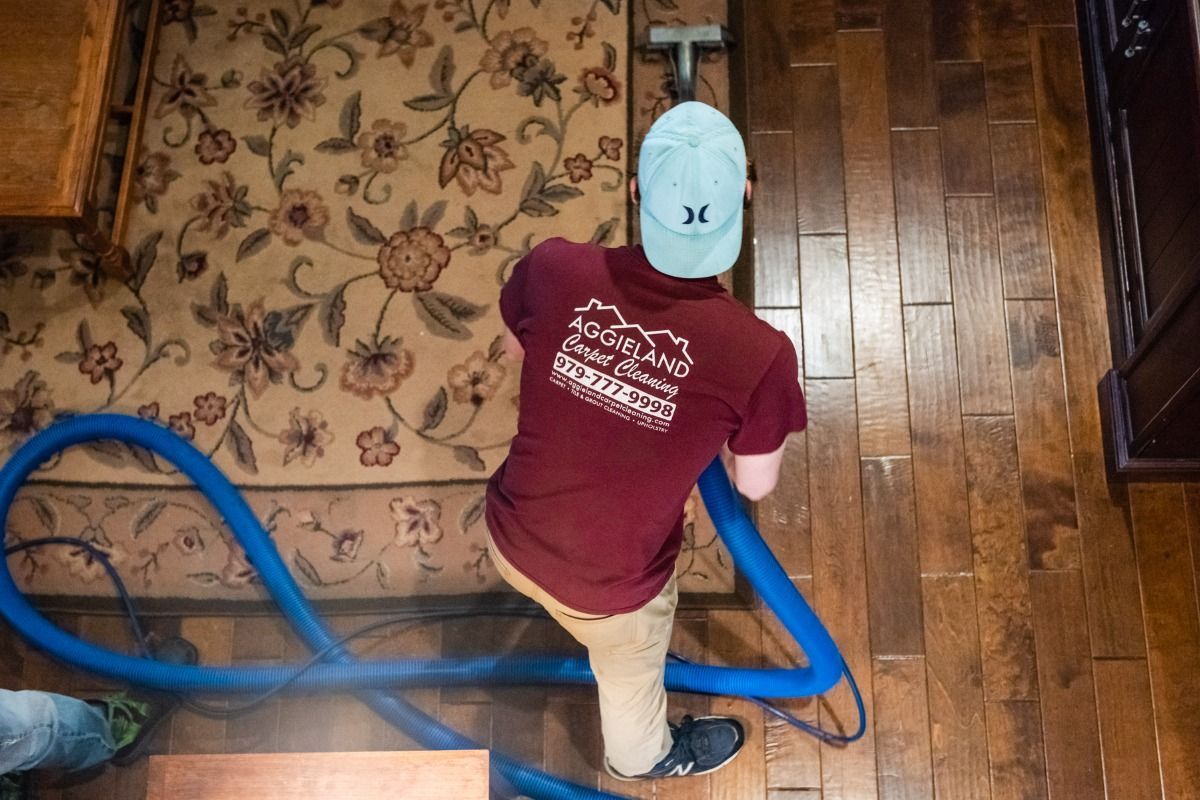 Aggieland Carpet Cleaning team is cleaning a rug with a vacuum cleaner.
