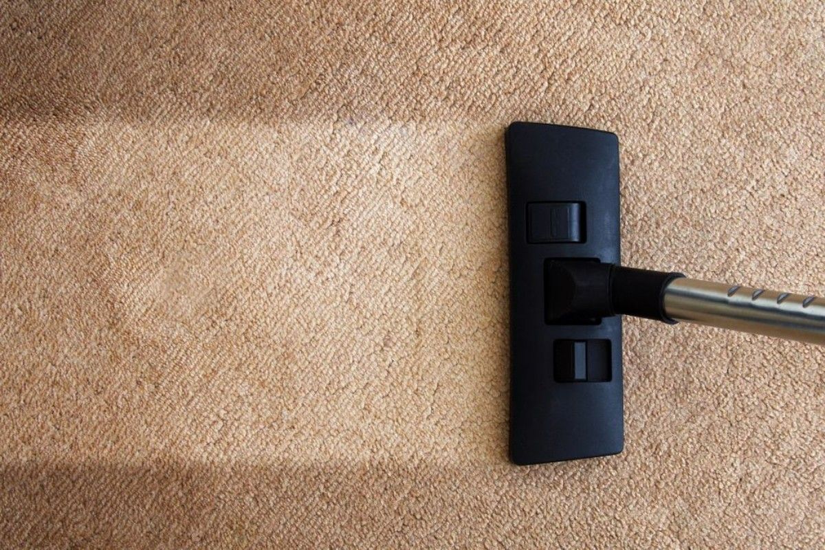 a vacuum cleaner is being used to clean a carpet .