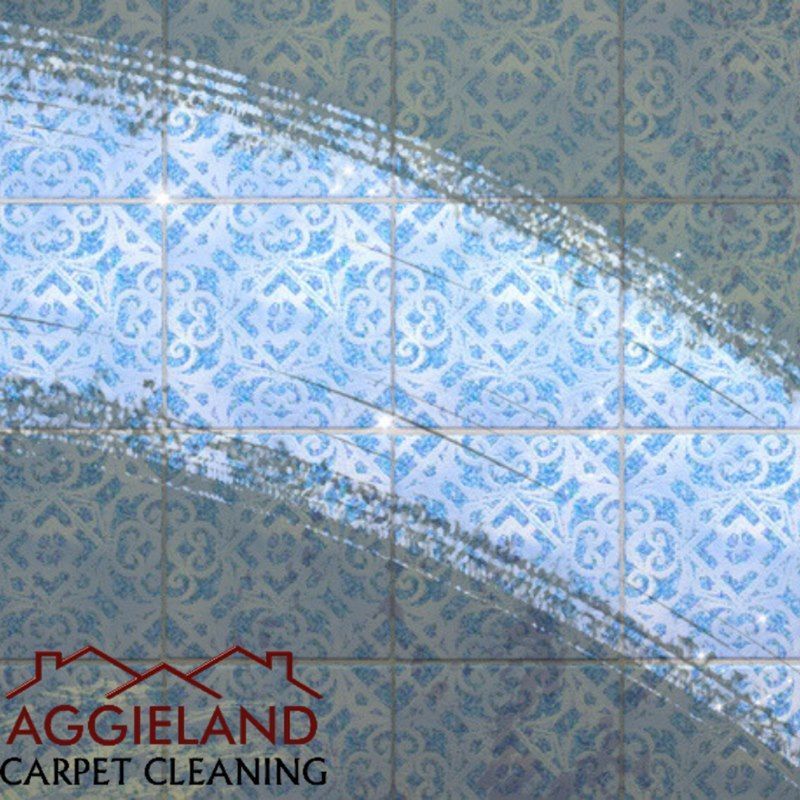 an advertisement for aggieland carpet cleaning with a blue pattern