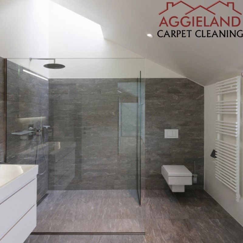 a bathroom with aggieland carpet cleaning written on the bottom