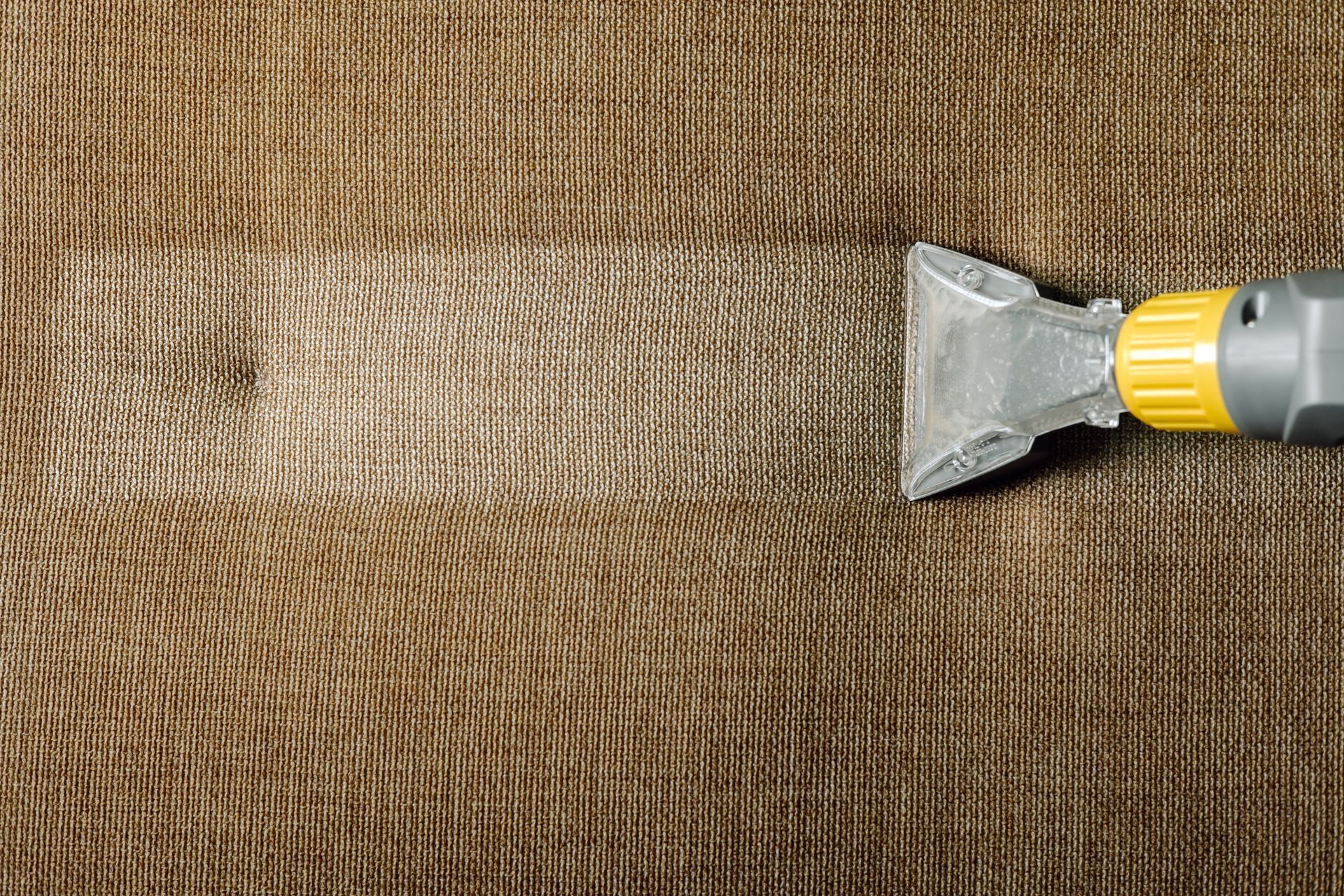 a close up of a vacuum cleaner cleaning a carpet .