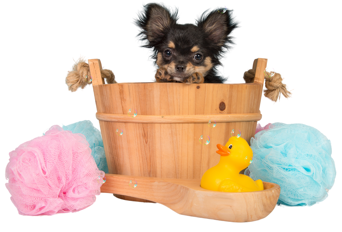 A small dog is taking a bath in a wooden bucket.