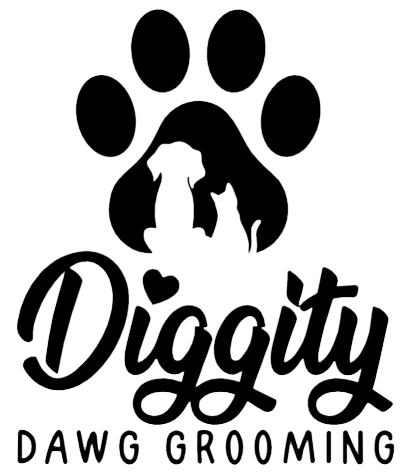 Reviews | Diggity DAWG Grooming Hudson WI