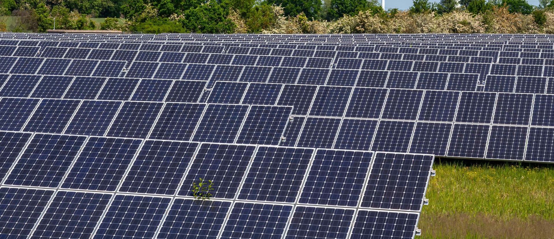 Solar Panels With Wind Turbines In Background