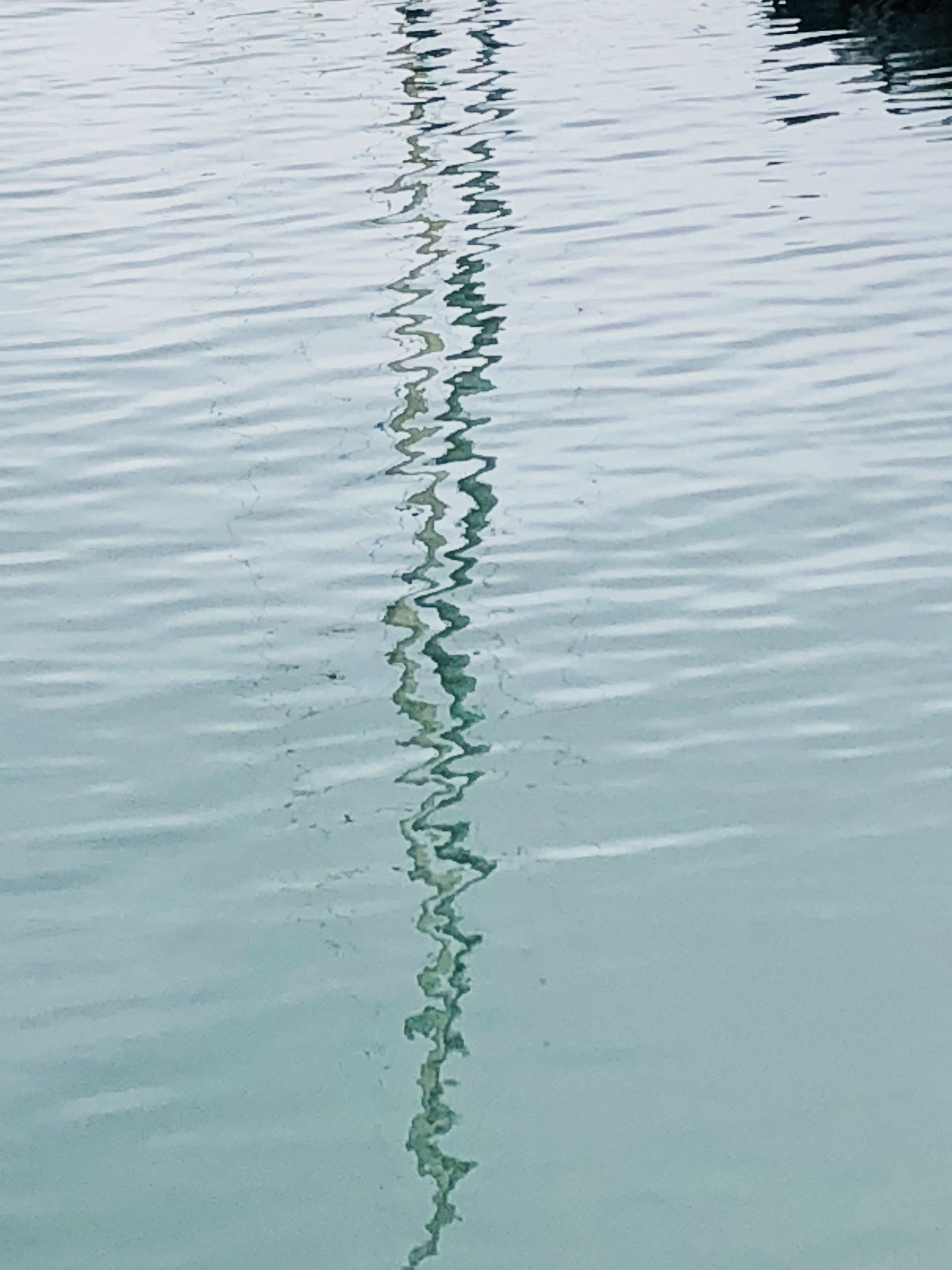 A close up of a body of water with a reflection of a rope in it.