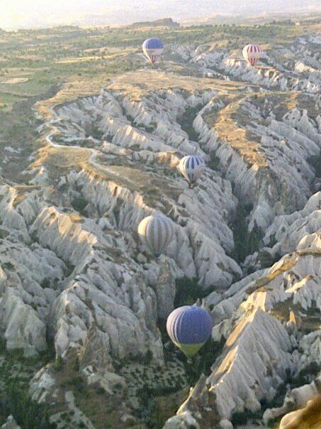 A group of hot air balloons are flying over a canyon.