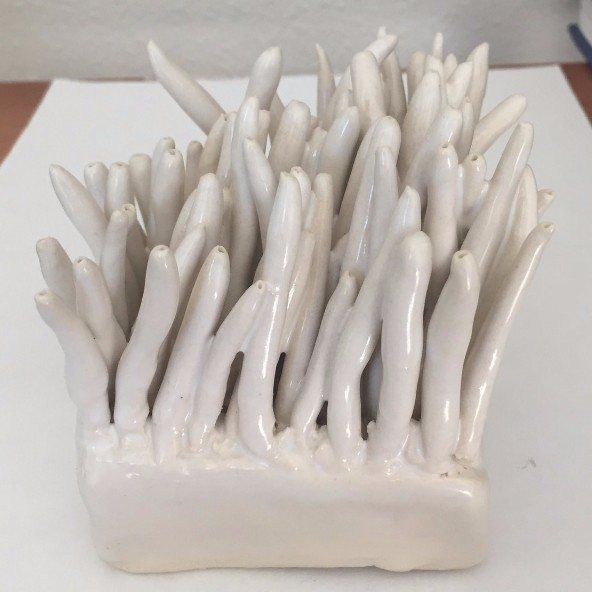 A bunch of white sticks are sitting on a white surface