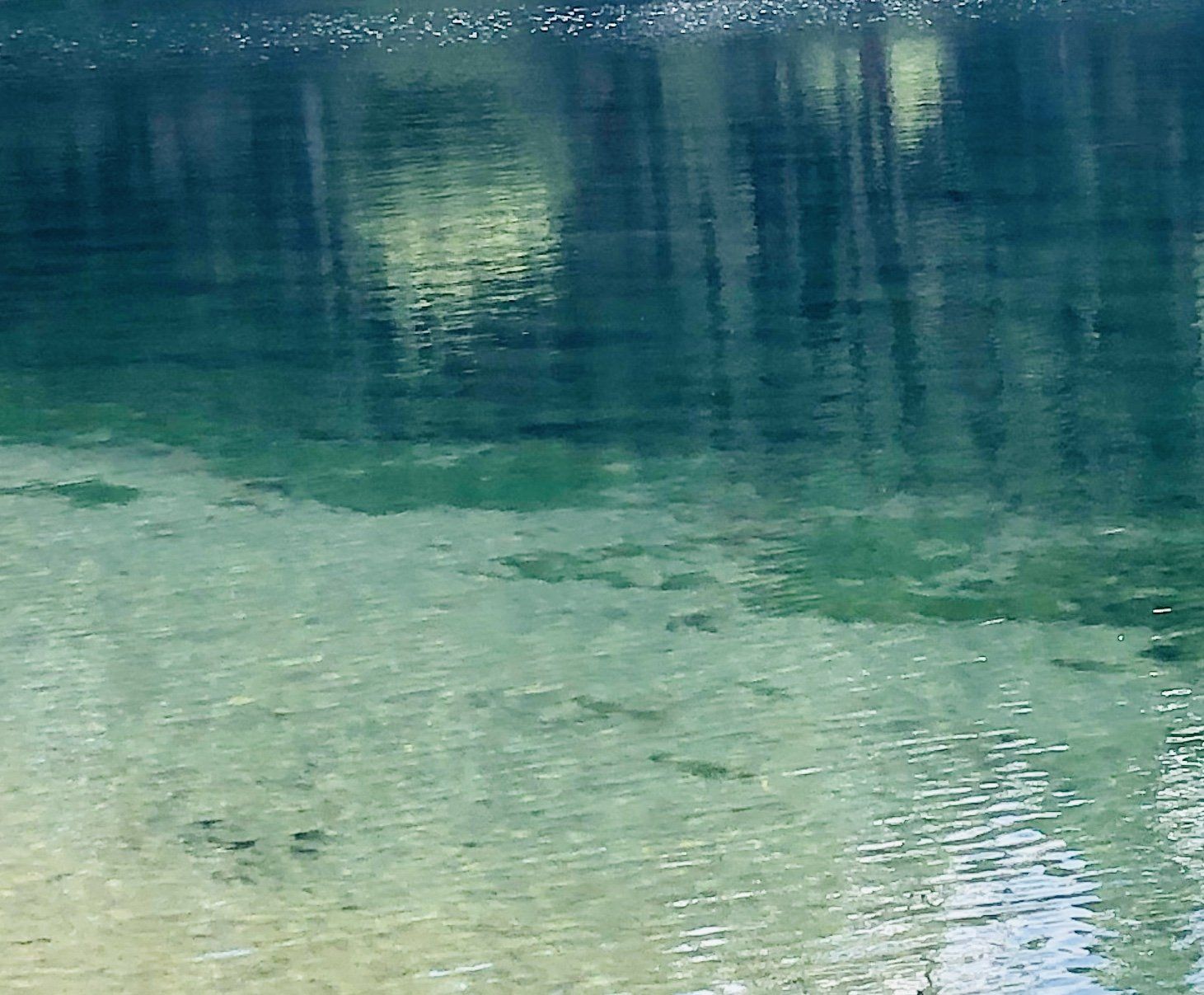 A lake with trees reflected in the water