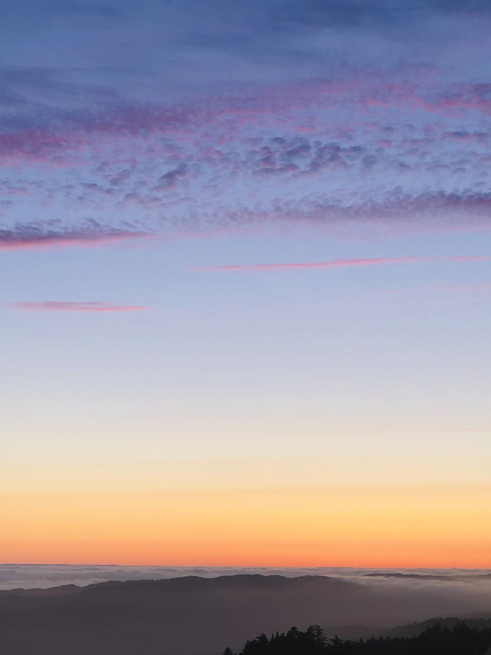 A sunset over a valley with trees in the foreground and a cloudy sky in the background.