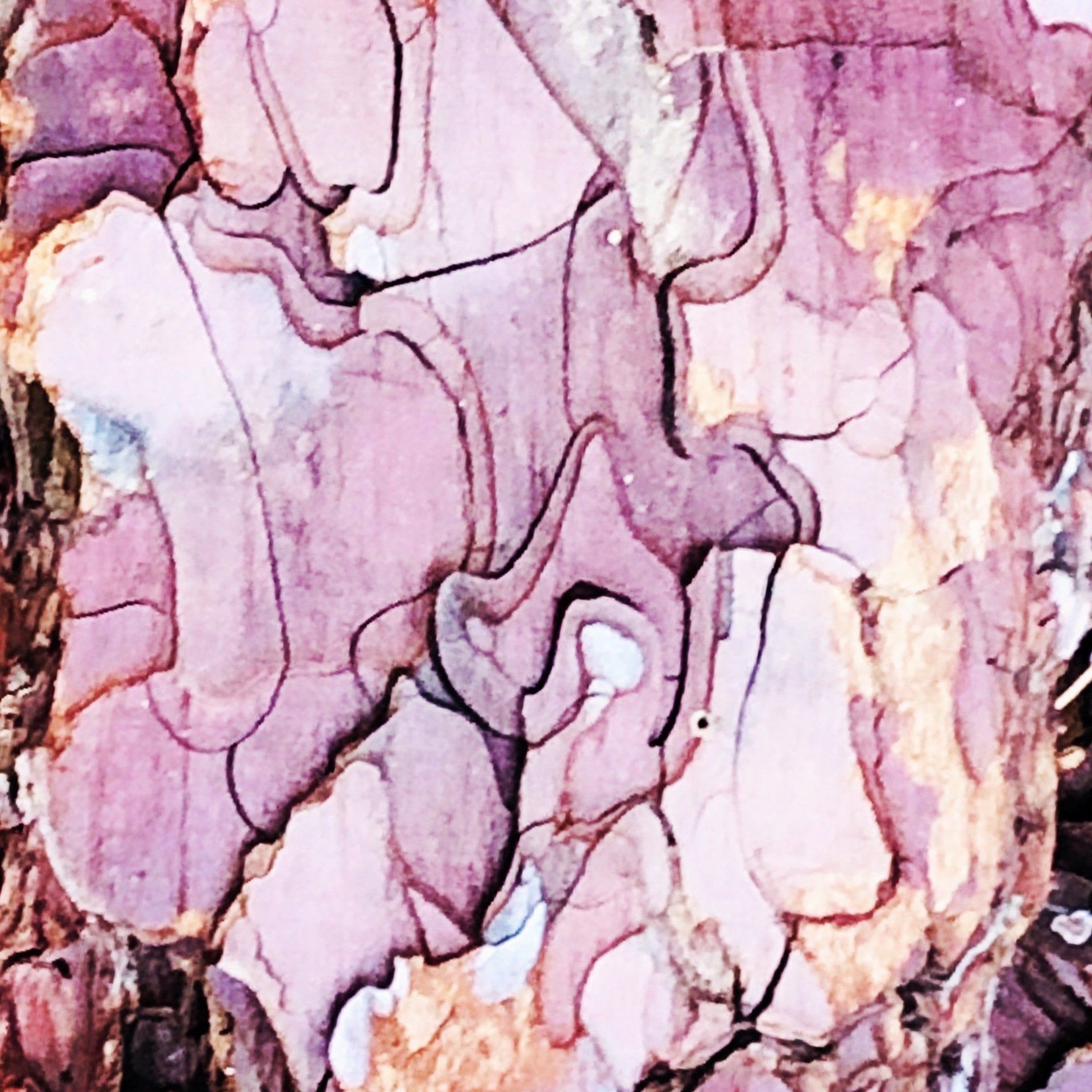 A close up of a purple and white rock