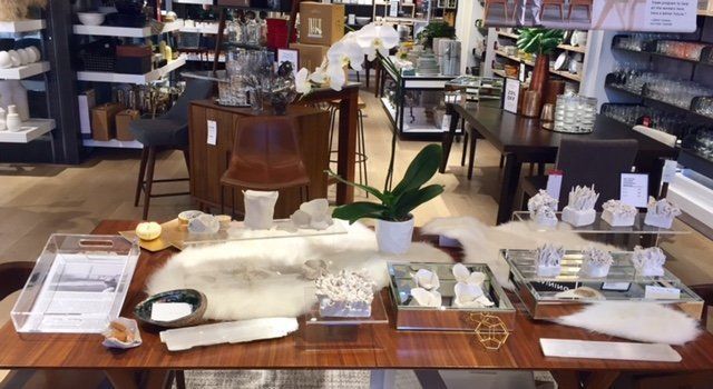 A table in a store with a plant on it.