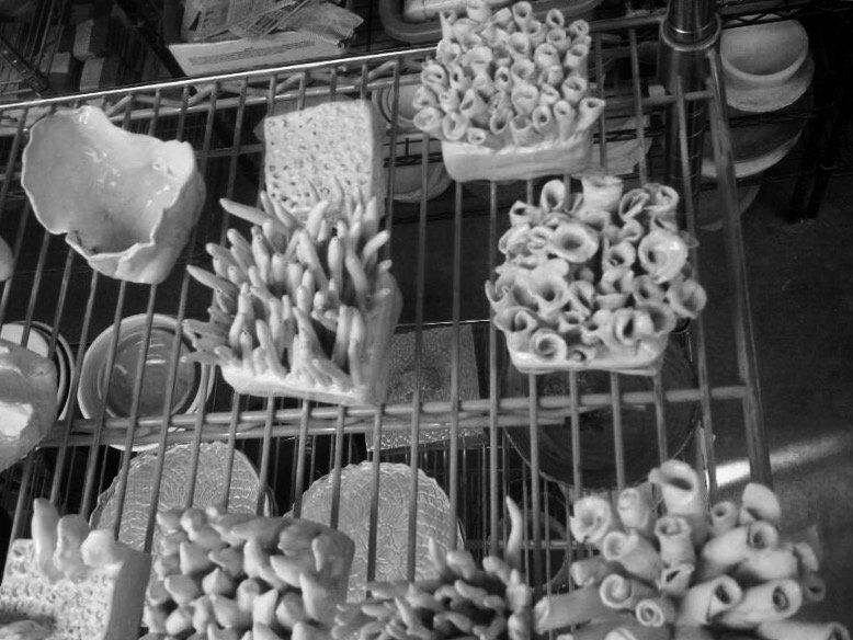 A black and white photo of various corals on a wire rack