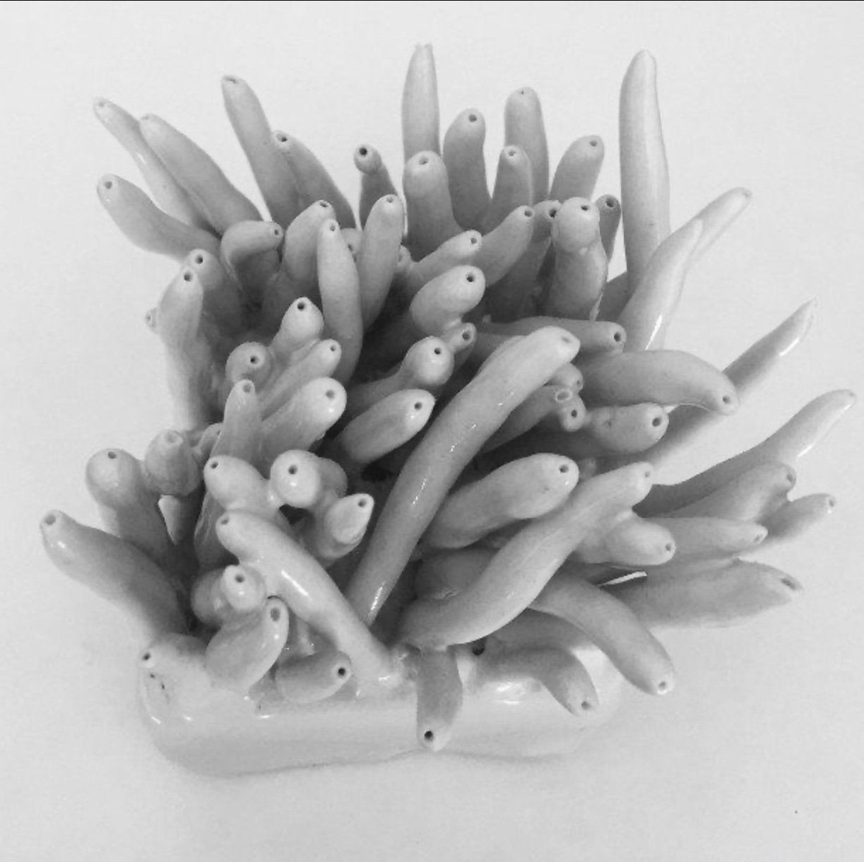 A black and white photo of a coral sculpture on a white surface.
